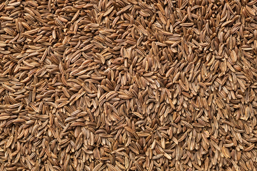 Cumin Seeds — Whole