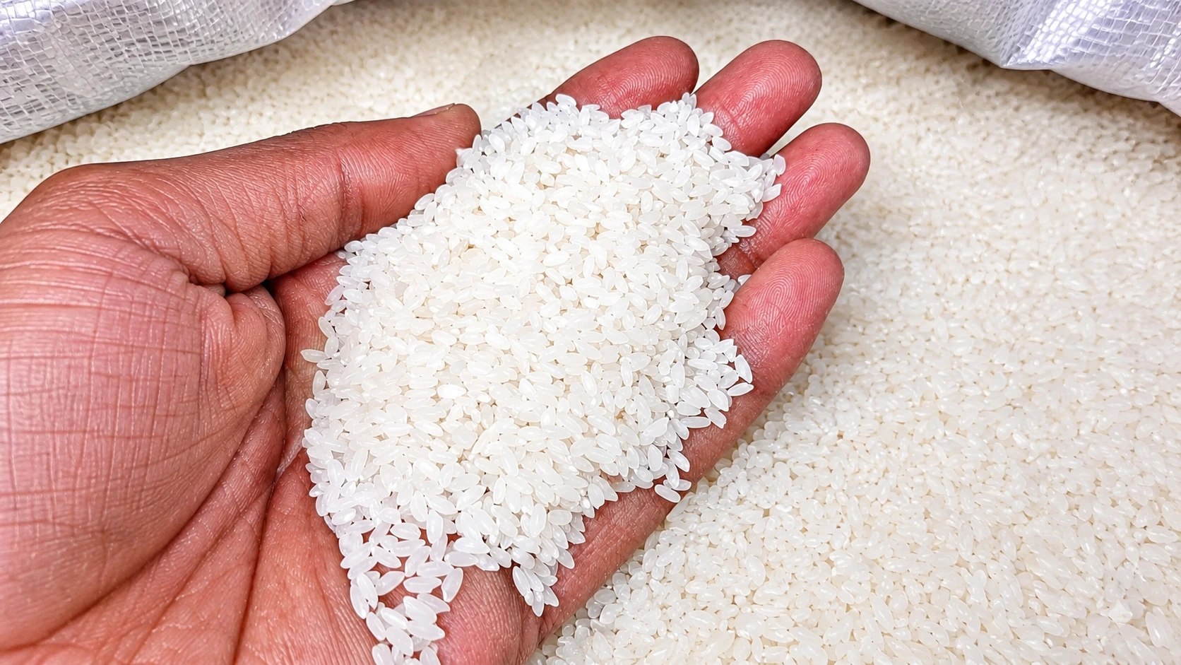 Gobindobhog Rice